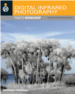 Digital Infrared Photography