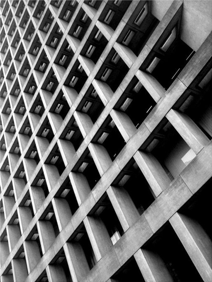 PHOTOWORKSHOP Cell Phone Contest