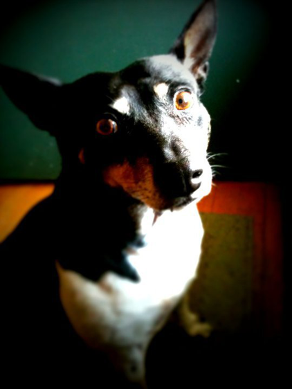 PHOTOWORKSHOP Cell Phone Contest