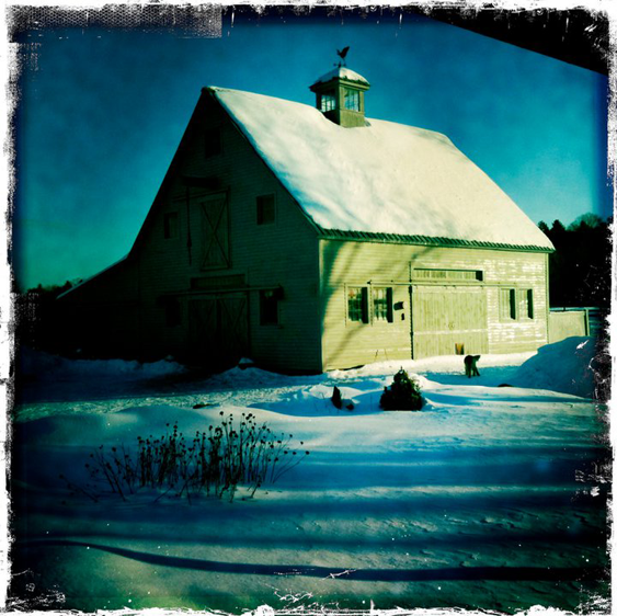 PHOTOWORKSHOP Cell Phone Contest