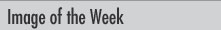 Image of the Week